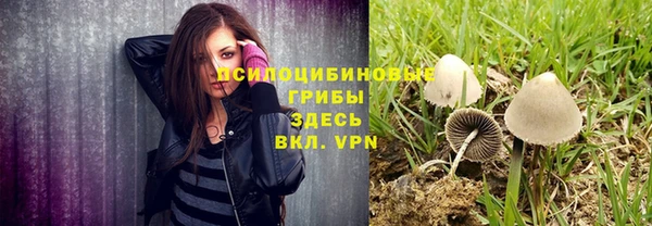 спиды Абдулино