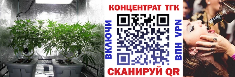 Дистиллят ТГК гашишное масло KRAKEN ССЫЛКА Александров наркошоп