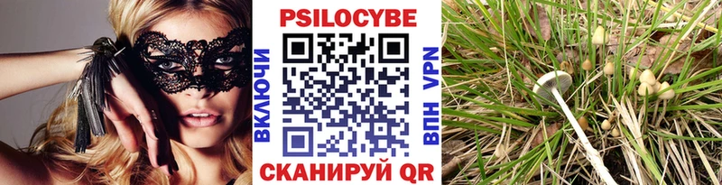 купить наркоту  Александров  omg tor  Псилоцибиновые грибы ЛСД 